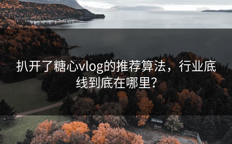 扒开了糖心vlog的推荐算法，行业底线到底在哪里？