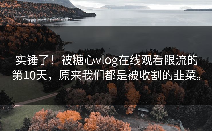 实锤了！被糖心vlog在线观看限流的第10天，原来我们都是被收割的韭菜。